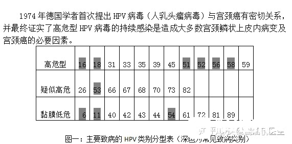 尖锐湿疣